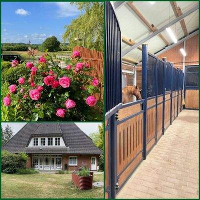 Exklusives Wohnen mit Weitblick und Pferdestärke