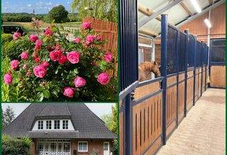 Exklusives Wohnen mit Weitblick und Pferdestärke