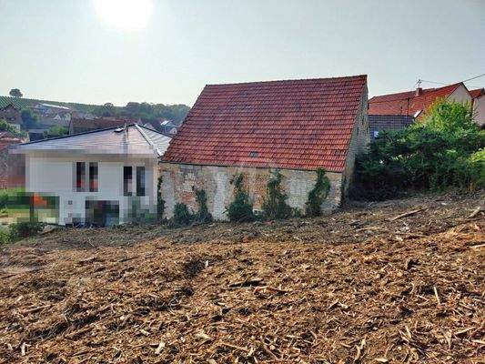 Blickrichtung Nordwest im Sommer 2021