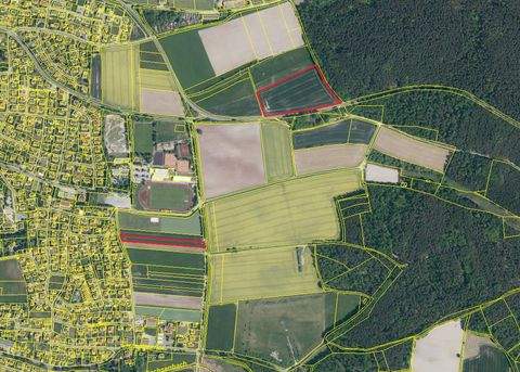 Diespeck Bauernhöfe, Landwirtschaft, Diespeck Forstwirtschaft