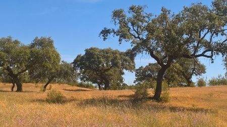 4fa8ae5d-ae8a-4050-b24a-d6b9f5e0ffa4