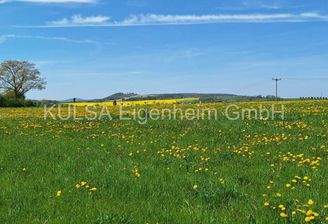 Ausblick zum Frankenstein