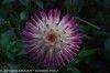 Bild 32