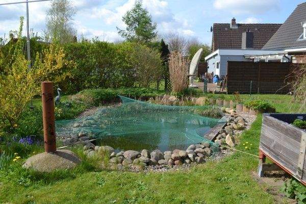 Gartenansicht - Teich