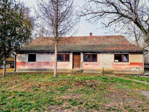 Petofiszállás Häuser, Petofiszállás Haus kaufen