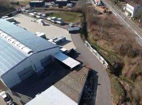 Mechernich Halle, Mechernich Hallenfläche