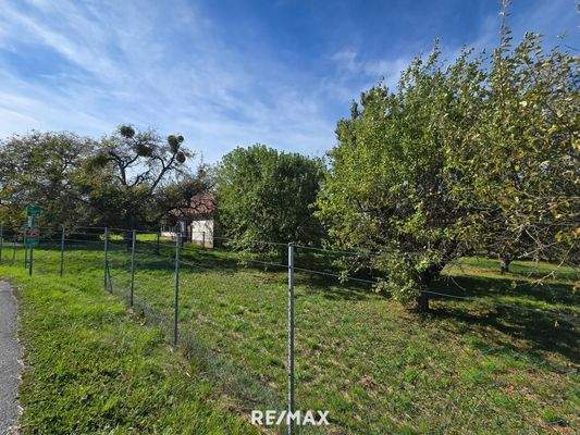 eingezäunter Obst- und Gemüsegarten