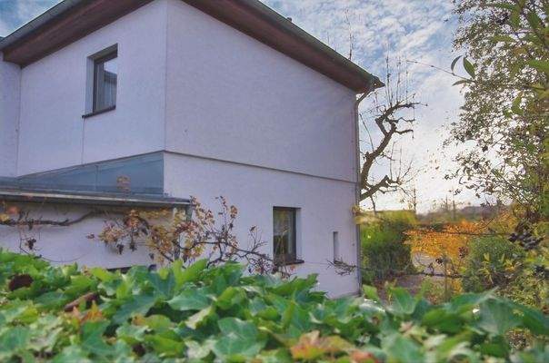 Blick über die Mauer zum Haus