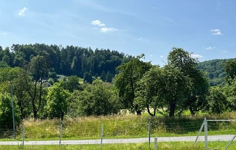 Ebermannstadt / Niedermirsberg Grundstücke, Ebermannstadt / Niedermirsberg Grundstück kaufen