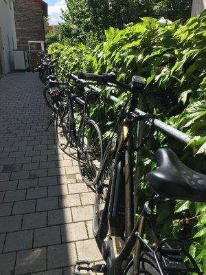 Gründersaal Auffahrt