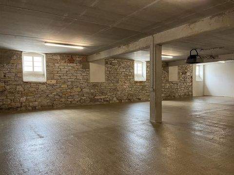 Dresden Halle, Dresden Hallenfläche