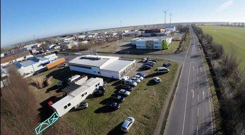 Oberkrämer Halle, Oberkrämer Hallenfläche