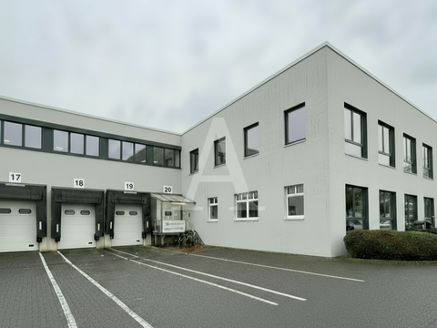 Frechen Halle, Frechen Hallenfläche