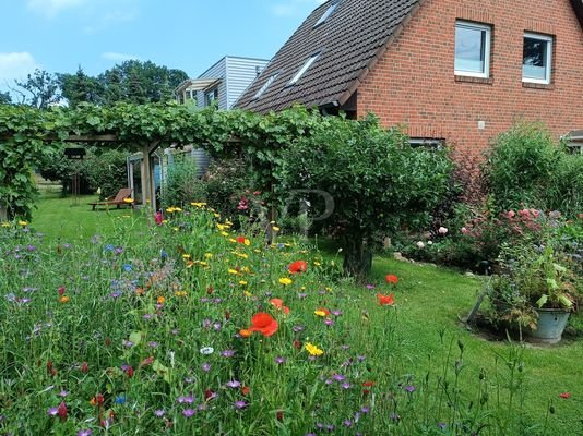 Gartenimpressionen