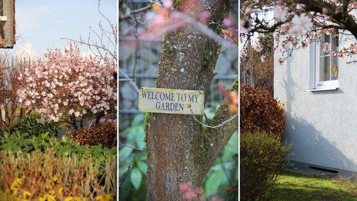 Gartenimpressionen