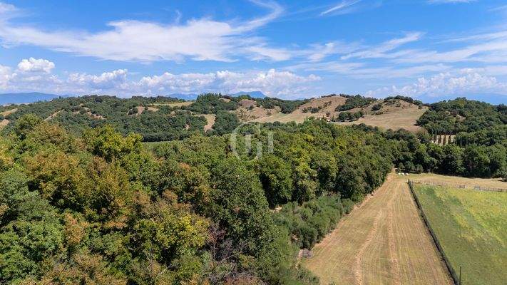 Blick von oben auf das Grundstück