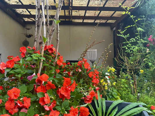 überdachte Terrasse