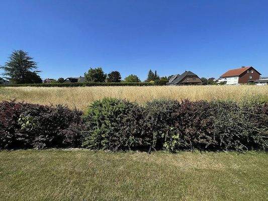 Aussicht vom Hauseingang