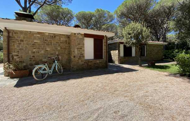 Screenshot 2025-04-28 095251.png