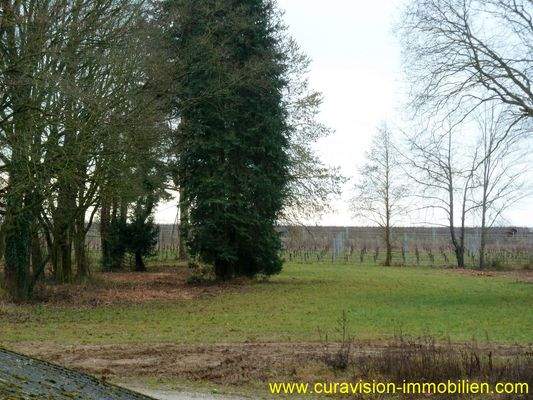 Ausblick 2. Ansicht.JPG