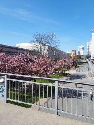 Einkaufsmöglichkeiten