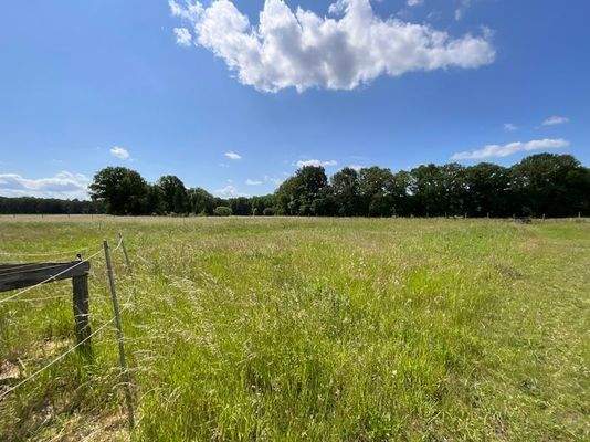 Eigentumsgrundstück-2