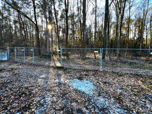 Ausblick von Terrasse W 4-7.jpg