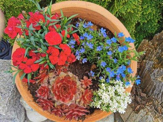 bunte Gartengestaltung