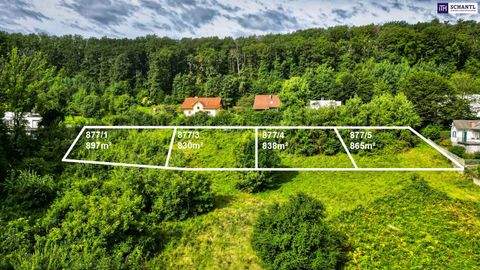 Graz Grundstücke, Graz Grundstück kaufen