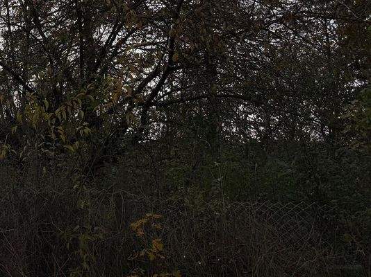 WhatsApp Bild 2025-11-05 um 21.44.39_32644592