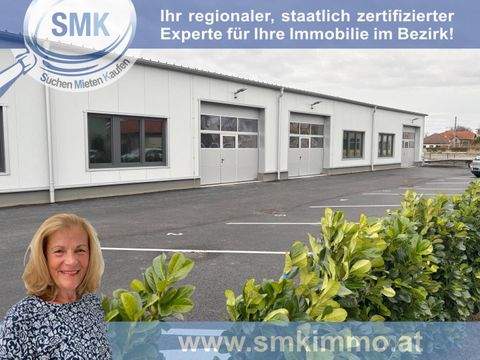 Traiskirchen Halle, Traiskirchen Hallenfläche