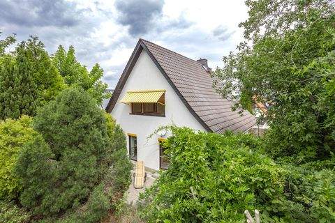 Dohna Häuser, Dohna Haus kaufen