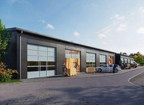 Nersingen Halle, Nersingen Hallenfläche