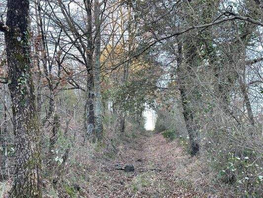 zum Grundstück Prata