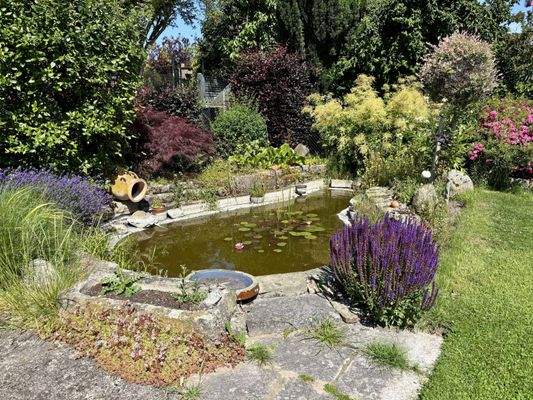 Gartenteich