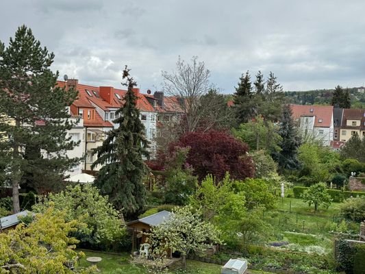 Ausblick in den Garten