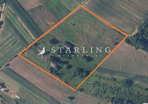 Sveti Ivan Zelina Bauernhöfe, Landwirtschaft, Sveti Ivan Zelina Forstwirtschaft