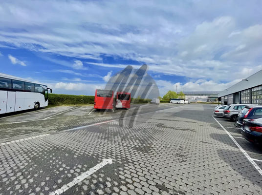 INFOS UNTER: 06171-586000