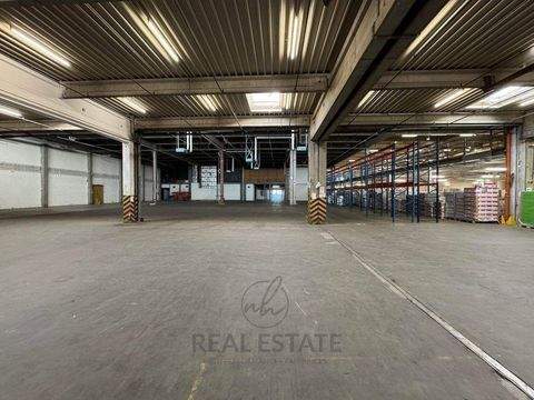 Hamburg Halle, Hamburg Hallenfläche