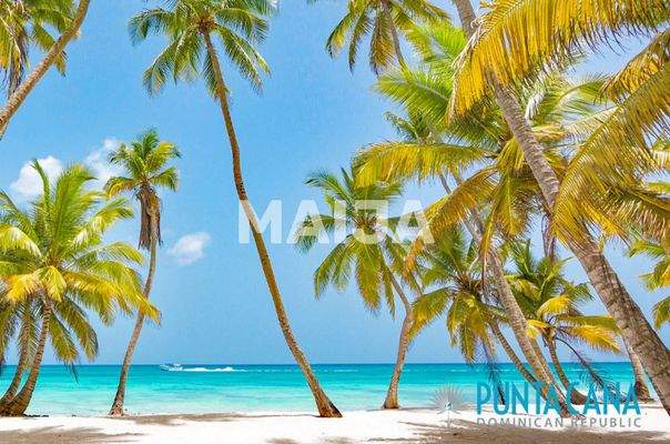 https://d2archx3akf346.cloudfront.net/promotion_image_wm_maija/665777/67e7267205d42301374975.jpg