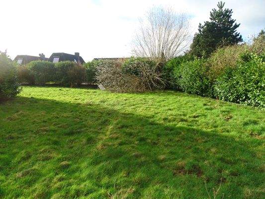 Fritz-Husmann-Weg, Grundstück 2024, 3.JPG