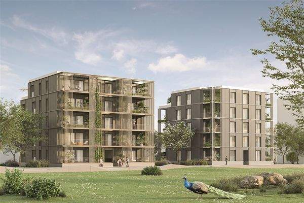 epp_flora_cam03_05_print_4c_heller