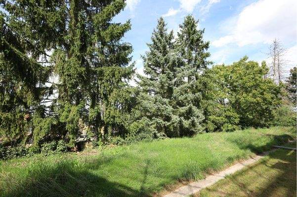 Alle Zimmer sind gartenseitig ausgerichtet