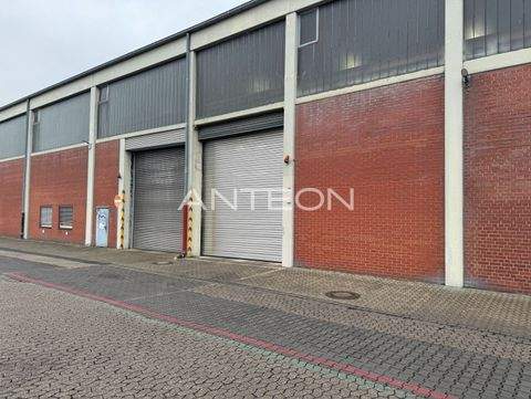 Neuss Halle, Neuss Hallenfläche