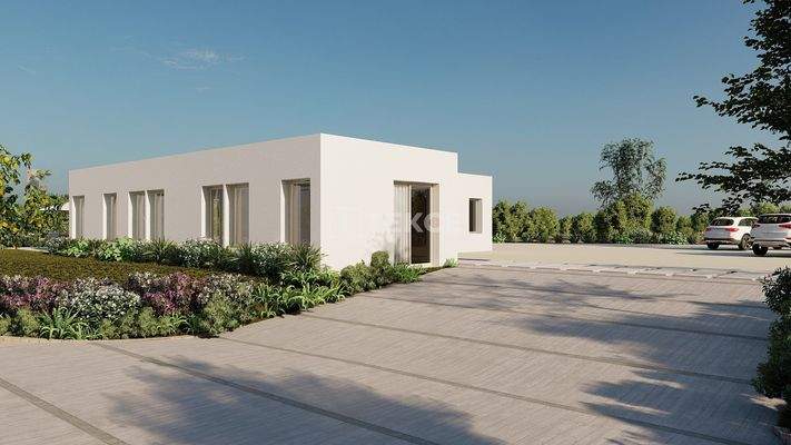 Luxury Villas Close to La Finca Golf Resort in Algorfa