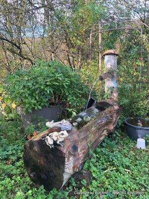 Eigenes Quellwasser - Brunnen