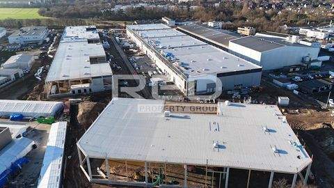 Neuss Halle, Neuss Hallenfläche