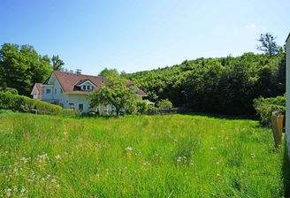 Blick nach Osten Richtung Wald