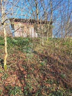 Gartenhaus auf dem Grundstück