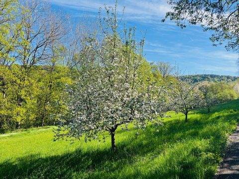Laufach Grundstücke, Laufach Grundstück kaufen